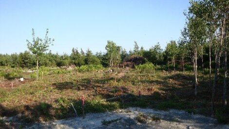 Home, Garden and Orchard Layout Image